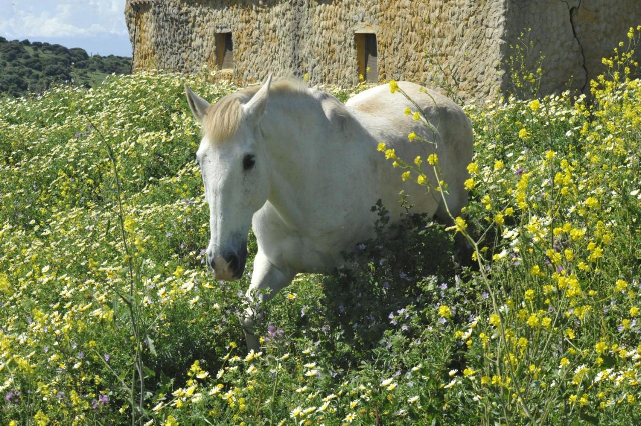 Finca La Cantarera Ταρίφα Εξωτερικό φωτογραφία