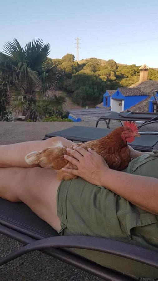 Finca La Cantarera Ταρίφα Εξωτερικό φωτογραφία